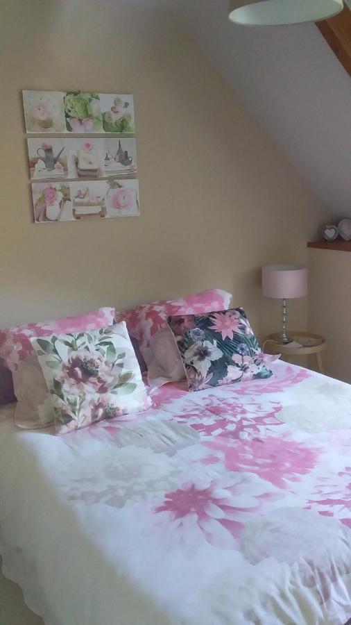Chambre De Rose - Le Refuge Des Parachutistes - En Bordure Du Marais Neuville-au-Plain Bagian luar foto