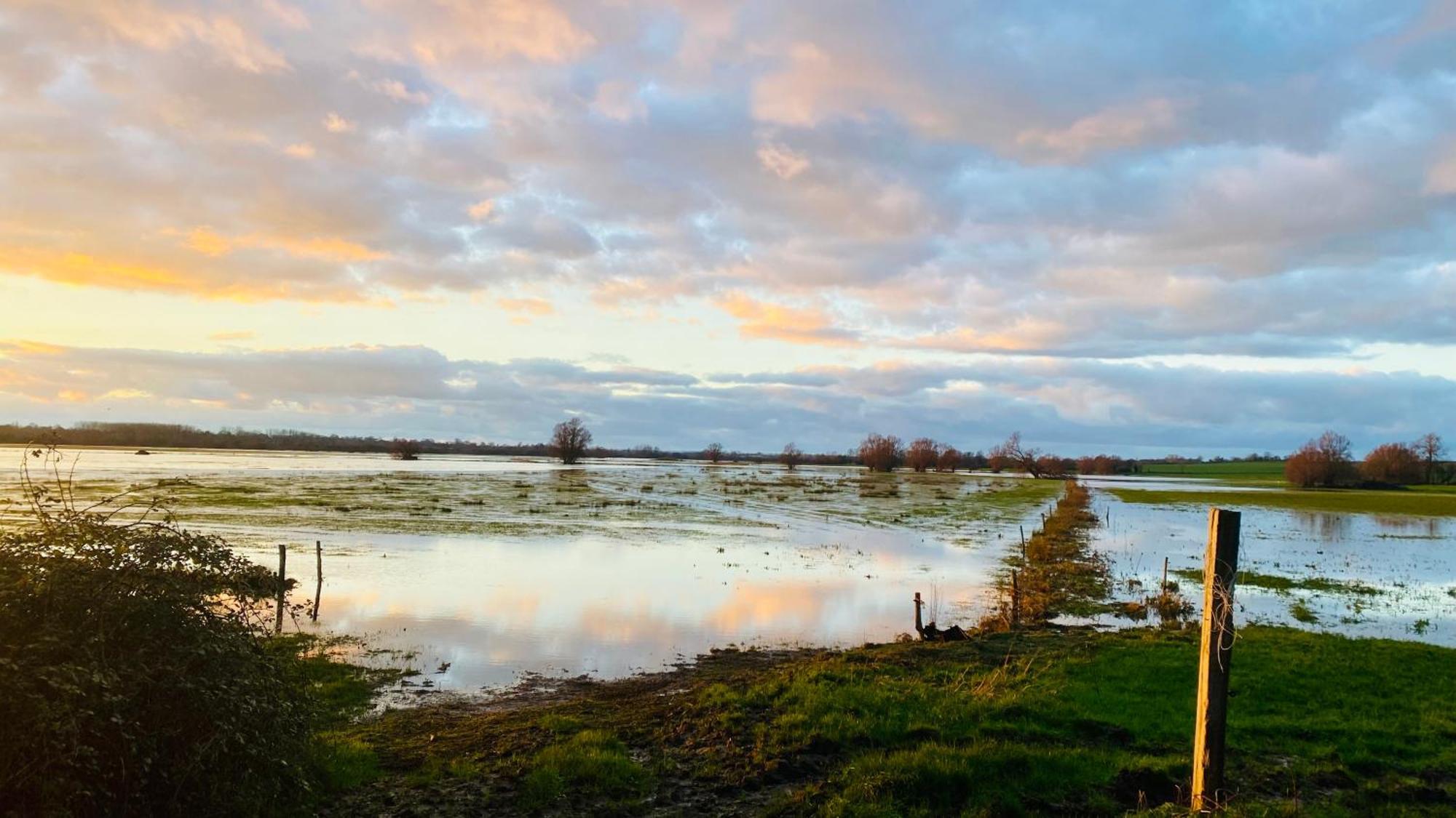 Chambre De Rose - Le Refuge Des Parachutistes - En Bordure Du Marais Neuville-au-Plain Bagian luar foto